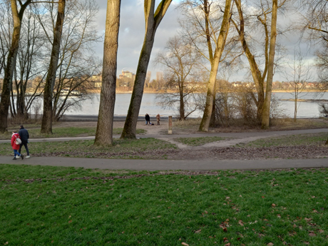 Koeln Rodenkirchen Makler